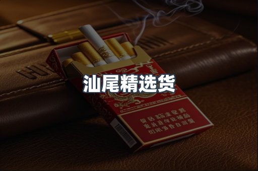 汕尾精选货